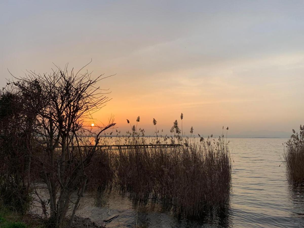 Tasso Canossa - Con Piscina Appartamento Lazise